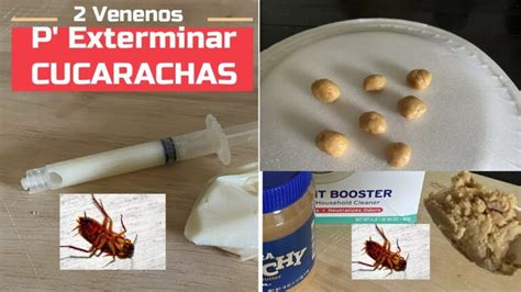 Cómo hacer veneno casero para cucarachas: 5 .